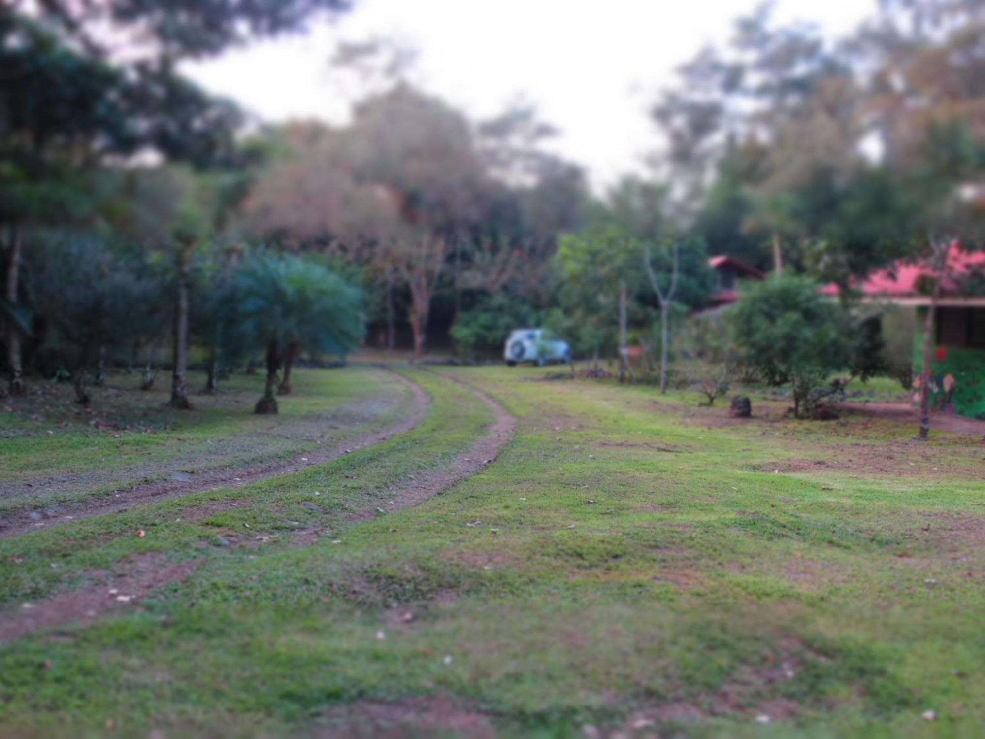 Vocare Finca Agroecologica Upala Exterior photo